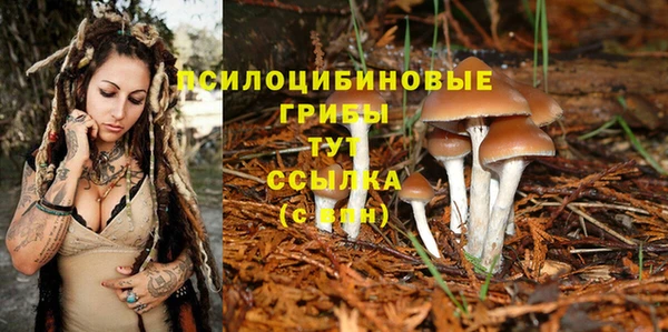 не бодяженный Корсаков