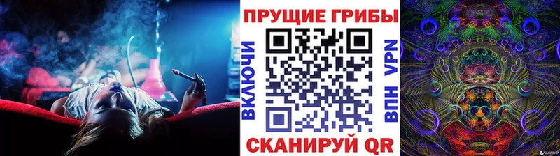 магазин продажи наркотиков  Кувшиново  Псилоцибиновые грибы мухоморы 