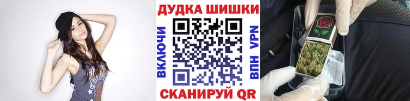 Шишки марихуана марихуана купить закладку Кувшиново